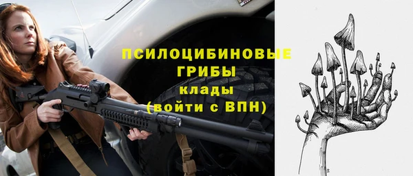 герыч Арсеньев