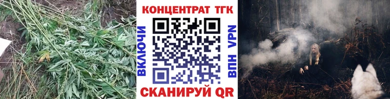 как найти   Дзержинск  ТГК вейп с тгк 