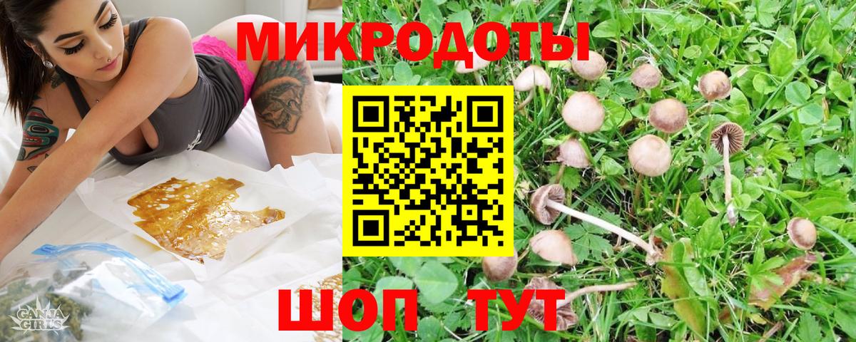 Псилоцибиновые грибы Magic Shrooms Дзержинск
