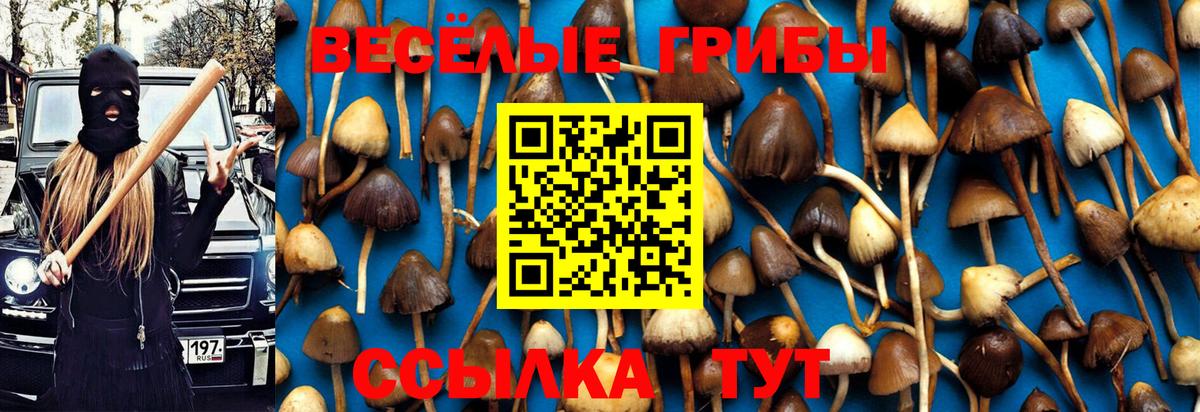Дзержинск  Псилоцибиновые грибы Cubensis  Псилоцибиновые грибы MAGIC MUSHROOMS  Вход с VPN 