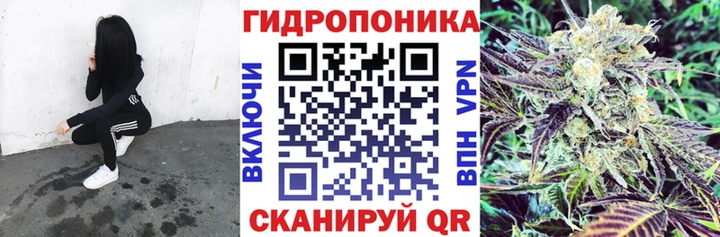Бошки Шишки план Дзержинск